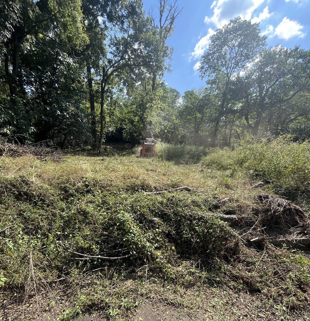 Vegetation clearing, in progress vegetation condition