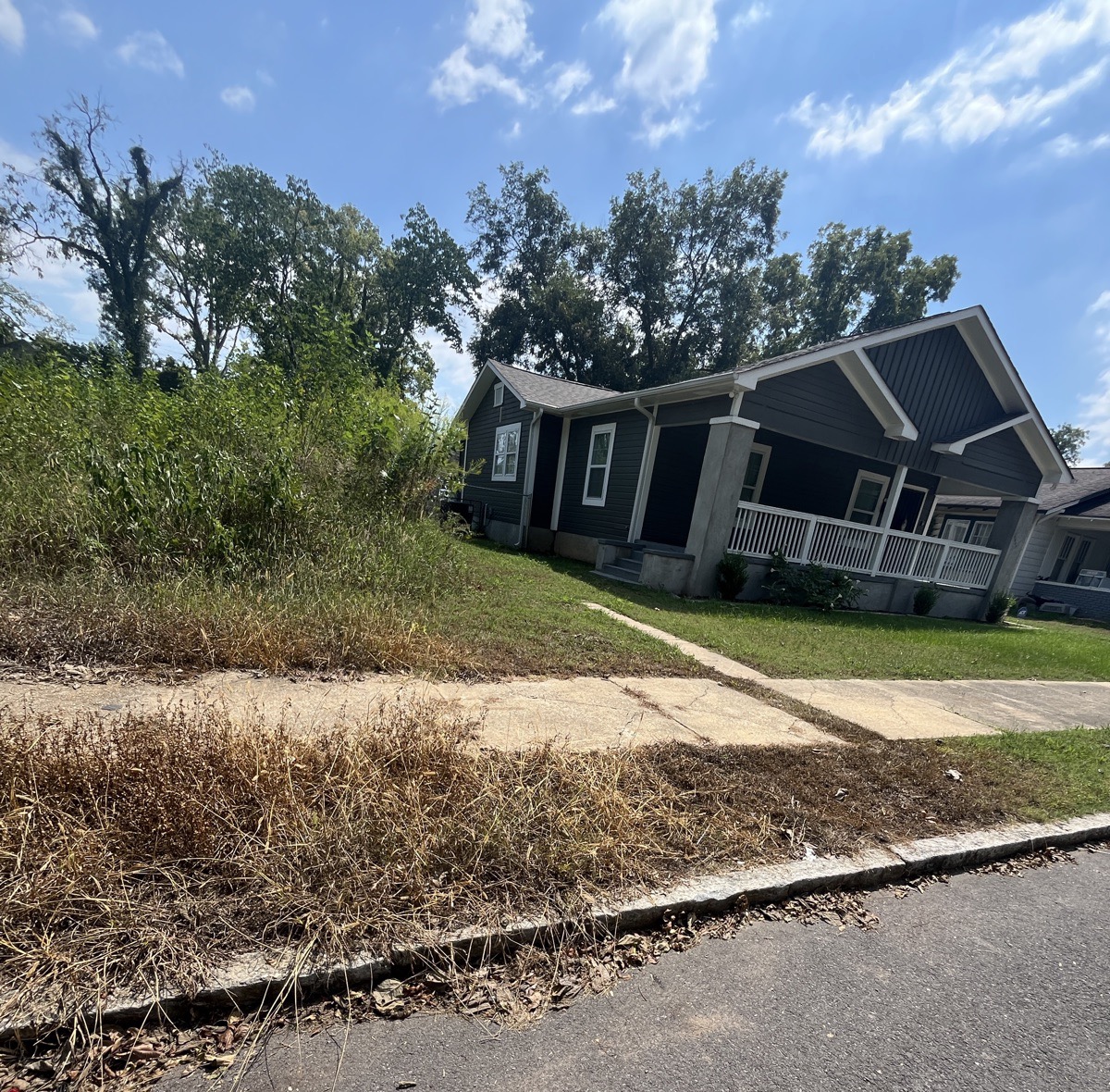 Lot edge cut back, before vegetation condition