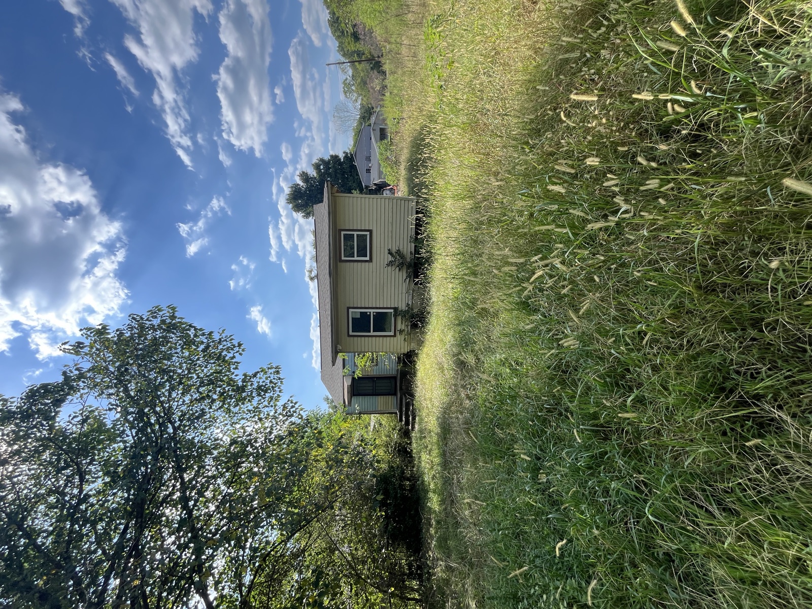 Tall grass brought down, before vegetation condition