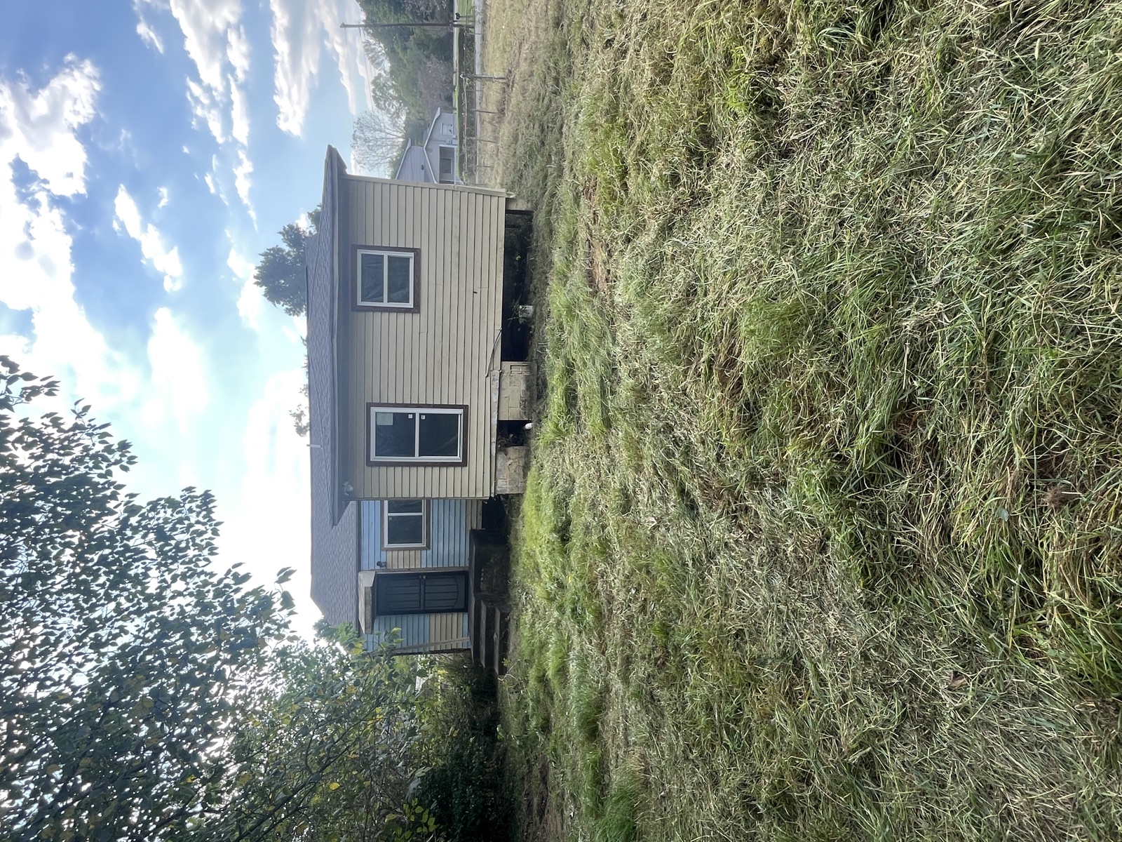 Tall grass brought down, after vegetation condition