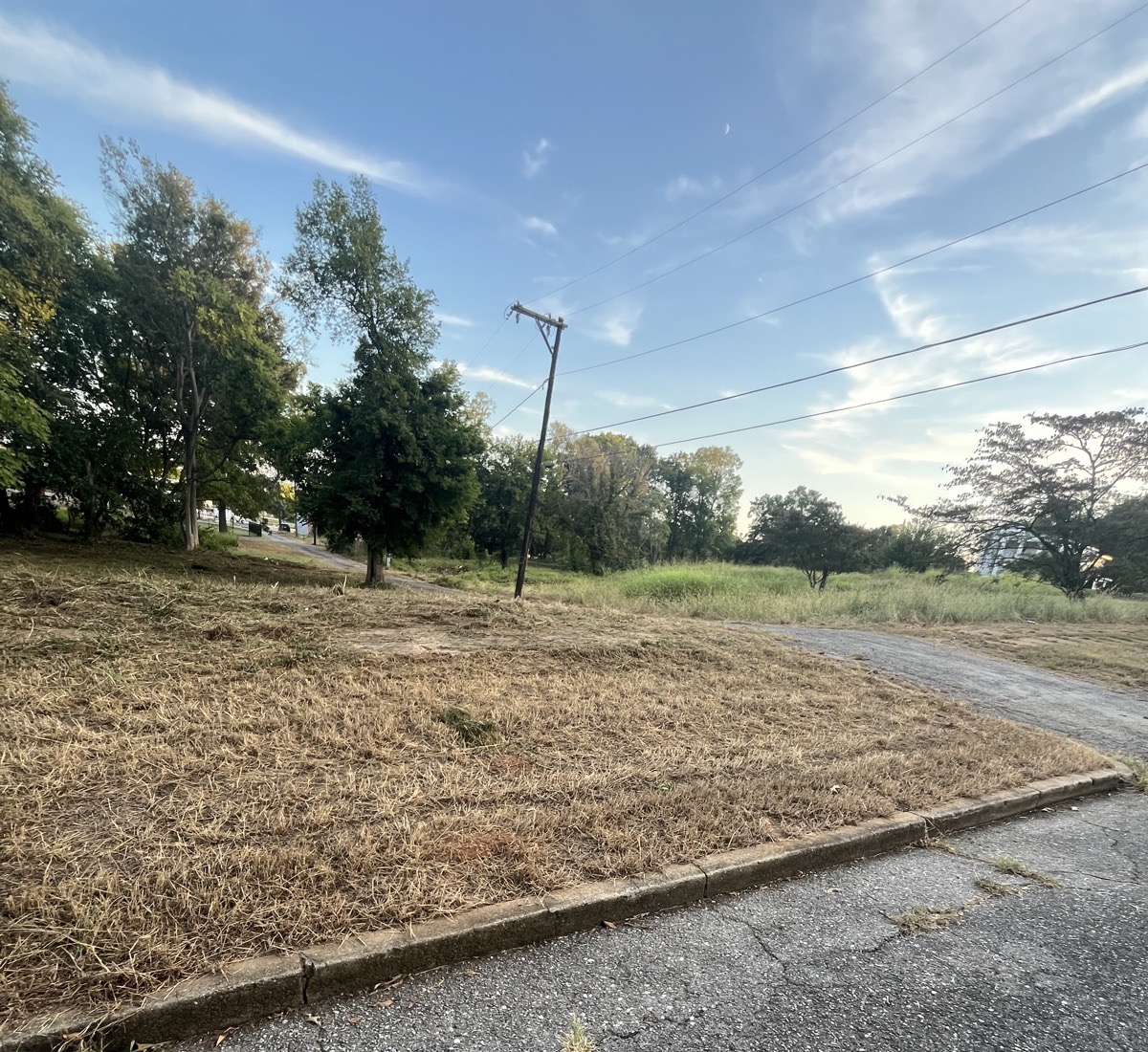 Client-supplied job photo showing cut vegetation across an open lot