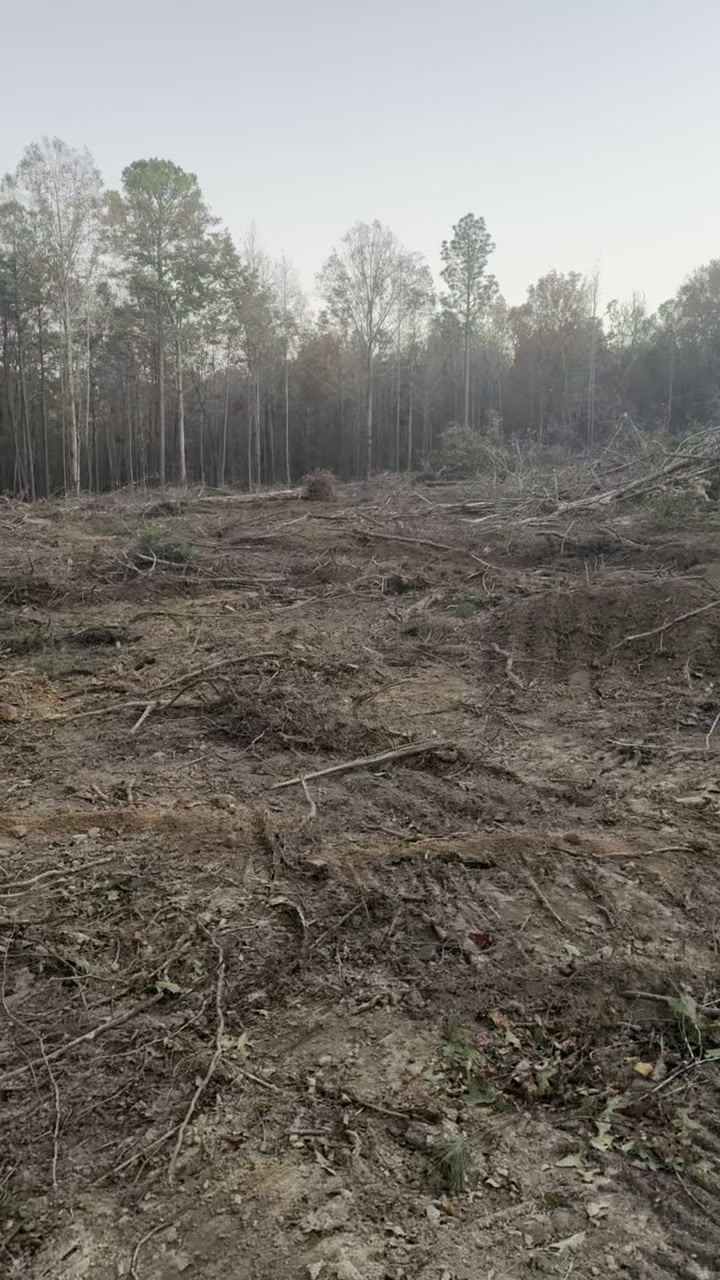 Rough tracked soil and cut brush during preliminary land preparation, from client-supplied IMG_1046 footage